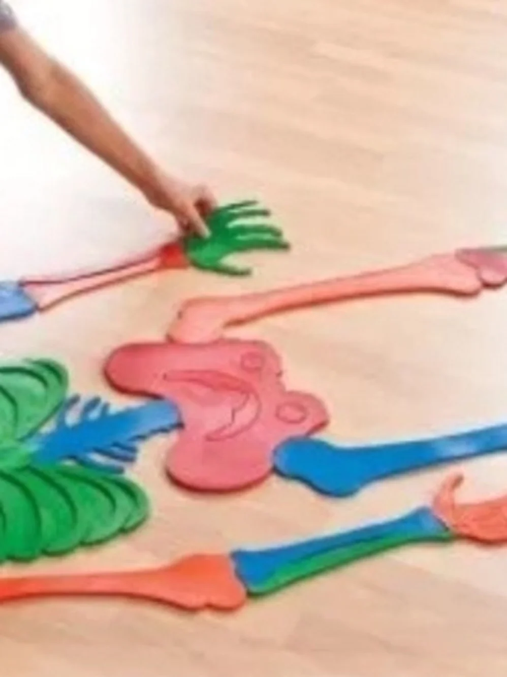 Foam Skeleton Puzzle Playset - Multicolor Foam Bones for Kids